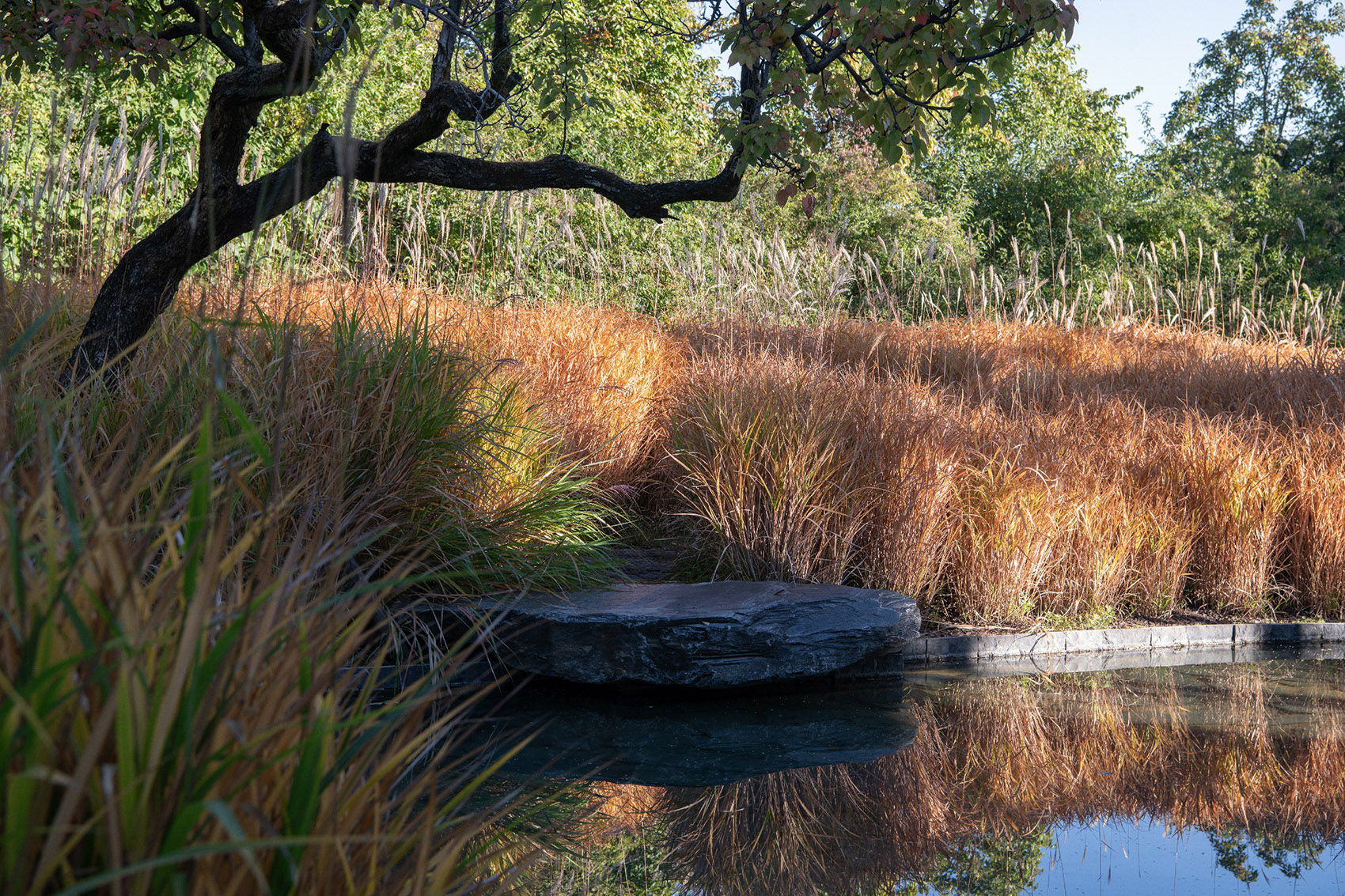 HYLLA WULU乌鲁花园丨中国丽江丨Z’scape致舍景观-145