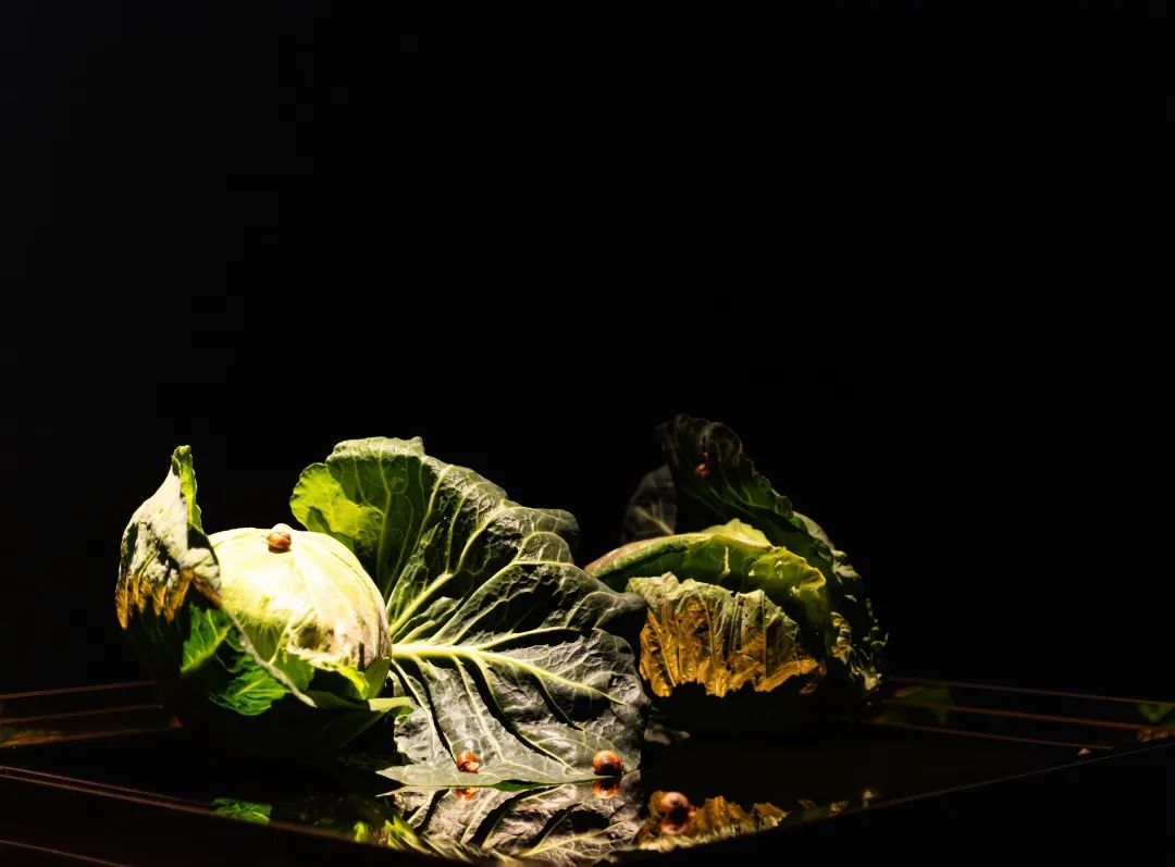 韩熙载夜宴图之叶会所丨中国宁波丨FD设计-48