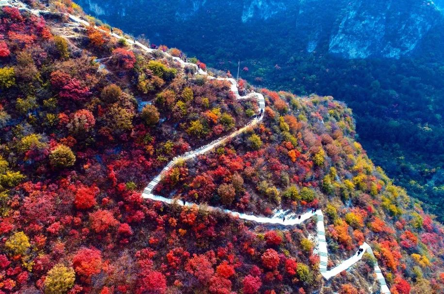 太行红河谷文化旅游经济带山林景观建设丨中国红河丨城乡与风景园林规划设计研究院-11