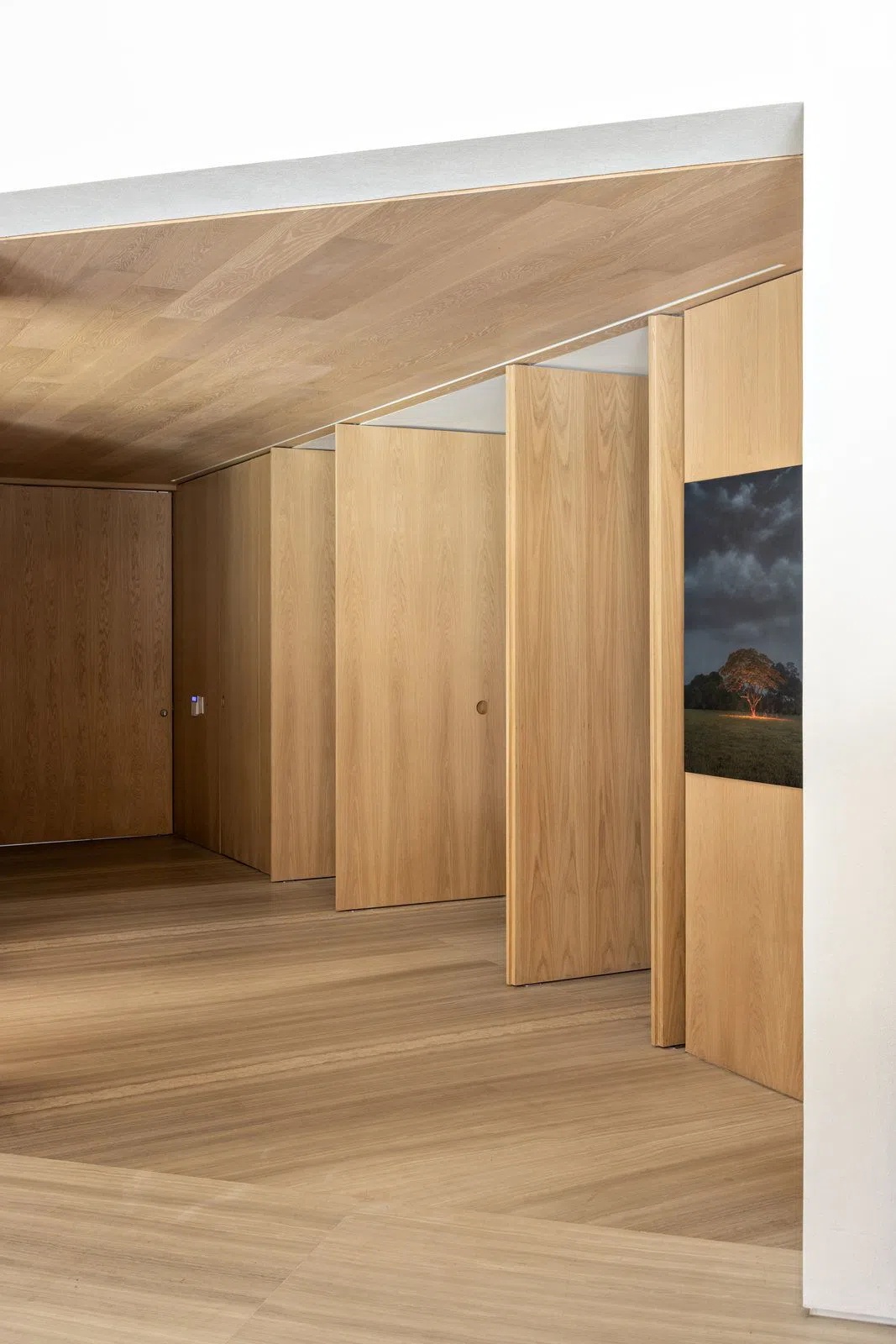 巴西宽敞明亮之家丨比亚普拉多-48