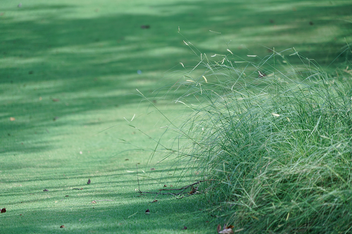 西湖高尔夫丨中国杭州丨NCD Studio 玖鹿设计-70