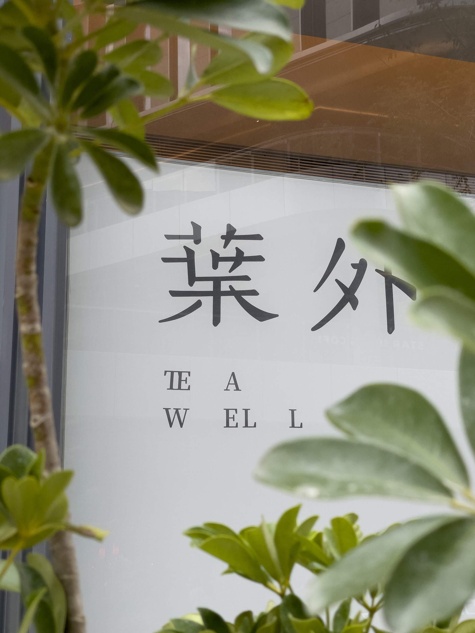 葉外万象食家店｜连锁品牌延展店的微创新丨中国深圳丨MIST-6