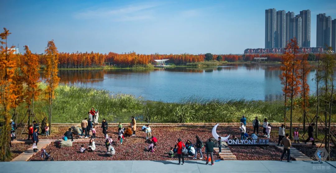南昌市鱼尾洲湿地公园丨中国南昌丨北京土人城市规划设计股份有限公司-35