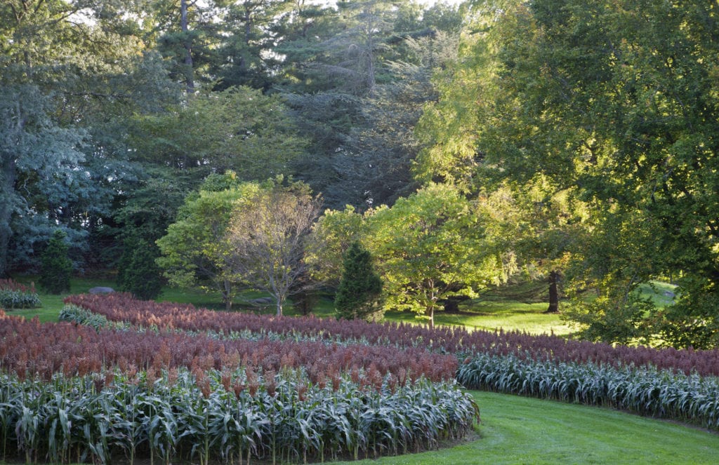 丨美国宾夕法尼亚-24