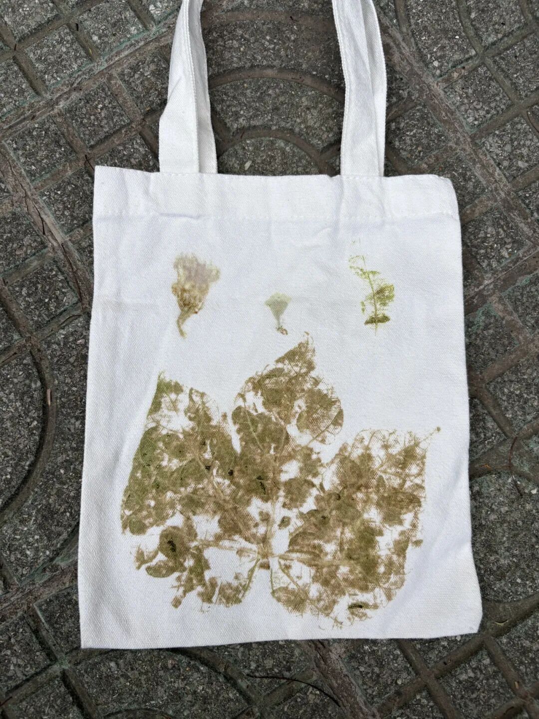 共写番禺自然故事|番禺绿地开放日温馨回顾-67