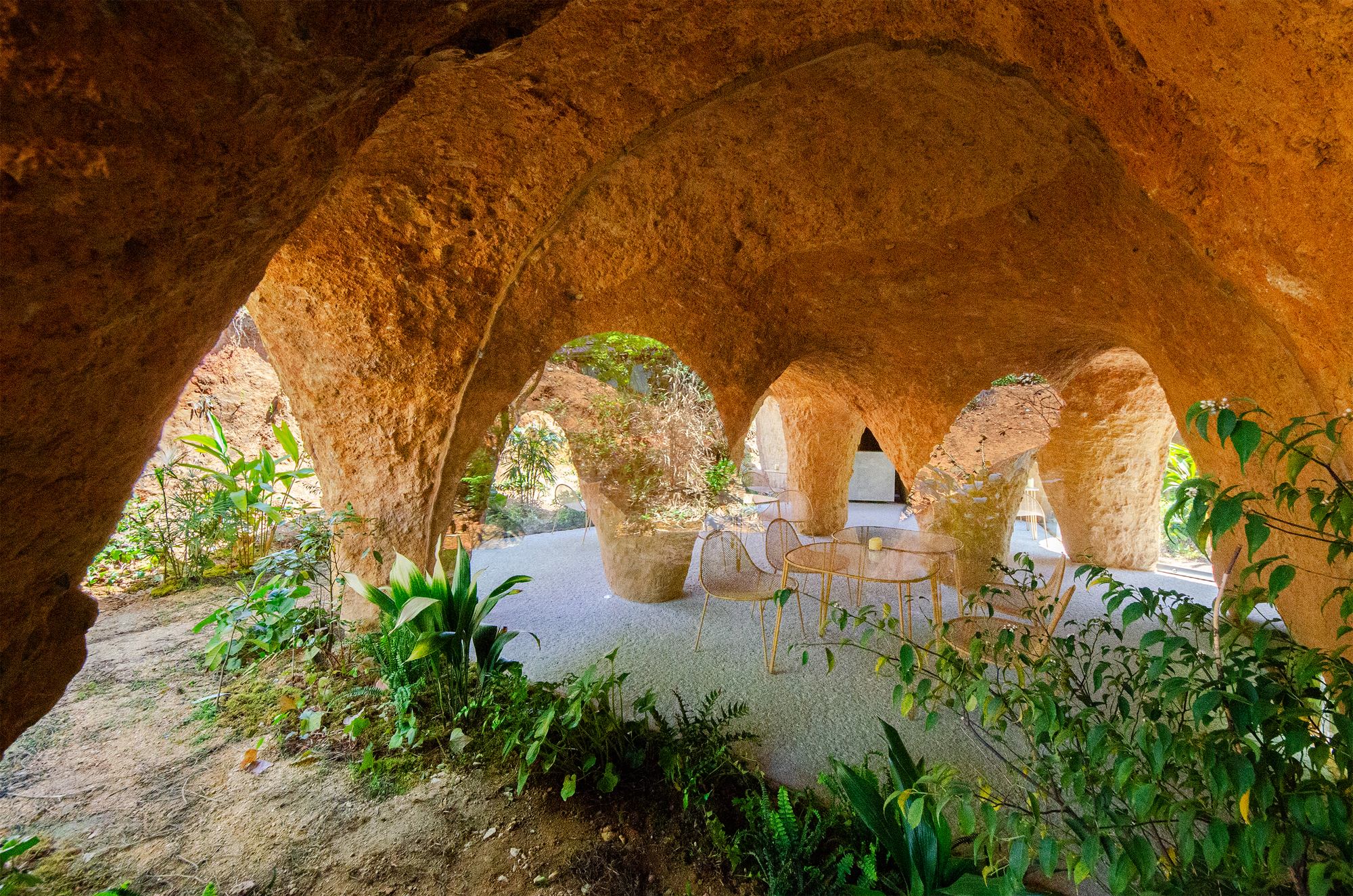 房屋与餐馆丨日本丨junya ishigami + associates-34