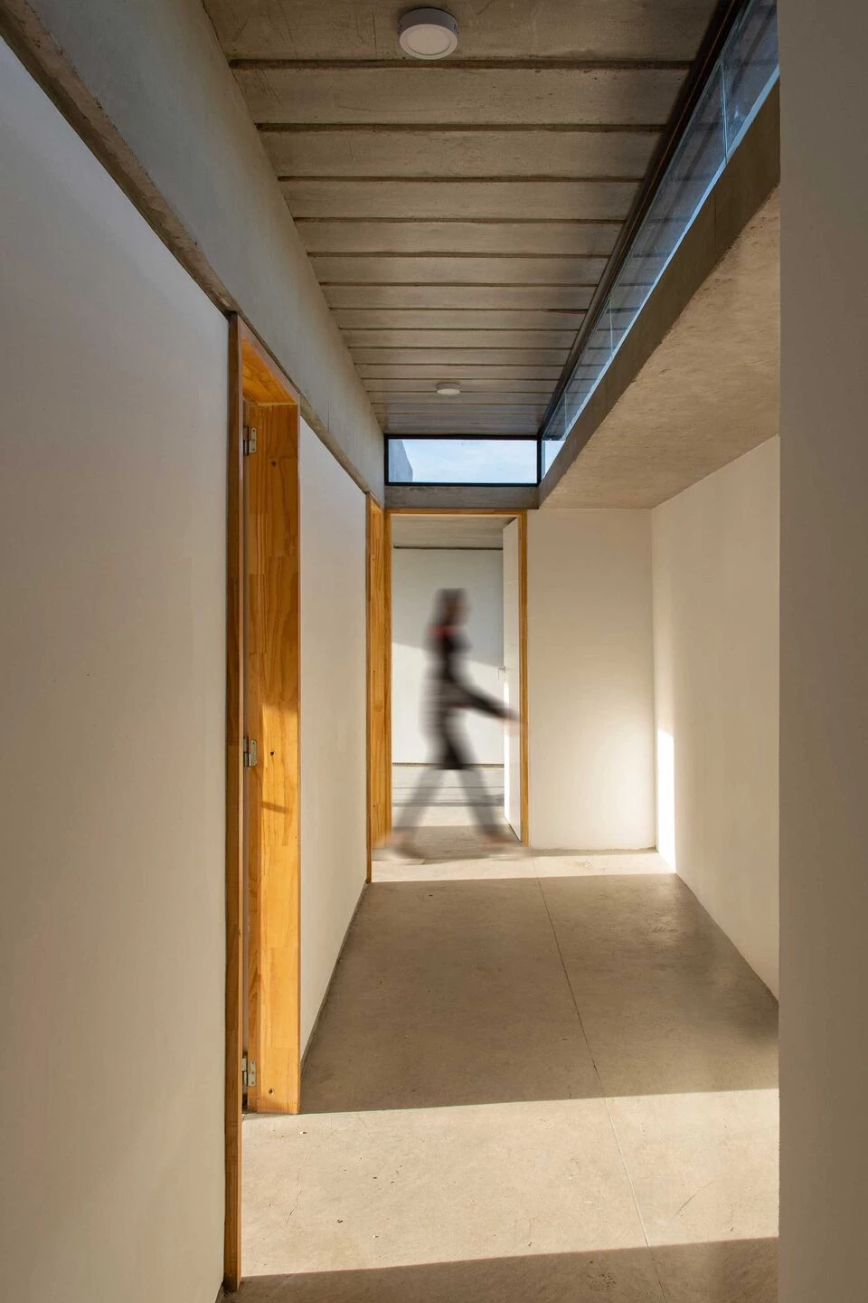 Casa Sur 住宅丨阿根廷布宜诺斯艾利斯丨ESTUDIO MORTON arquitectura-13