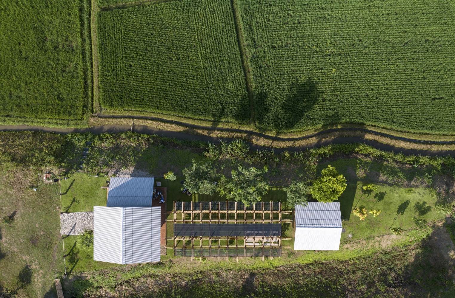 Thingamajiggy 咖啡烘培室丨泰国清迈-3