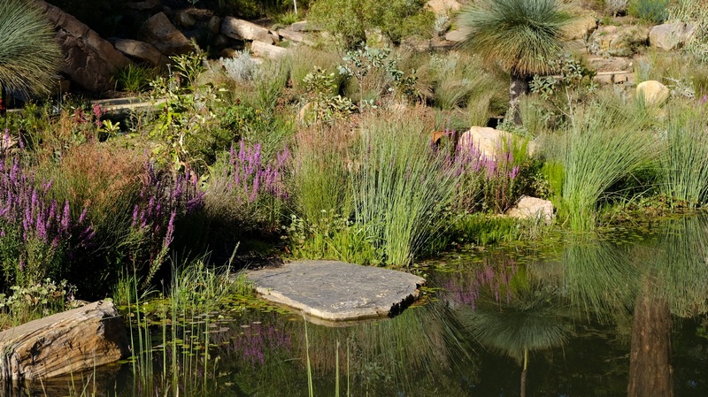 切尔西澳大利亚花园（奥林达）及沃勒塔工作室丨菲利普·约翰逊景观设计公司,分贝建筑事务所等-21