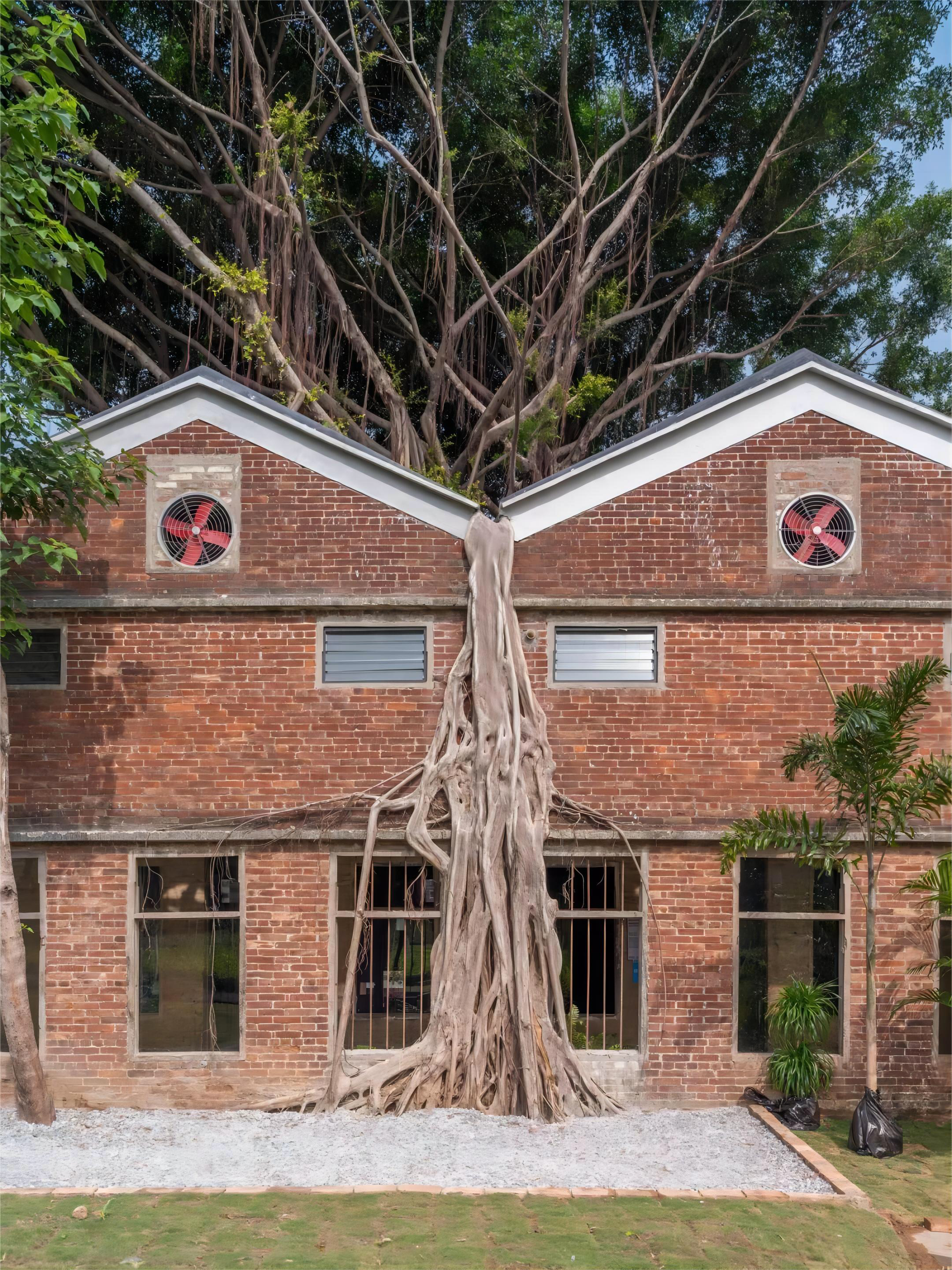 平沙岛·村口蚕房,广东南海大地艺术节丨中国佛山丨木月建筑设计事务所-19