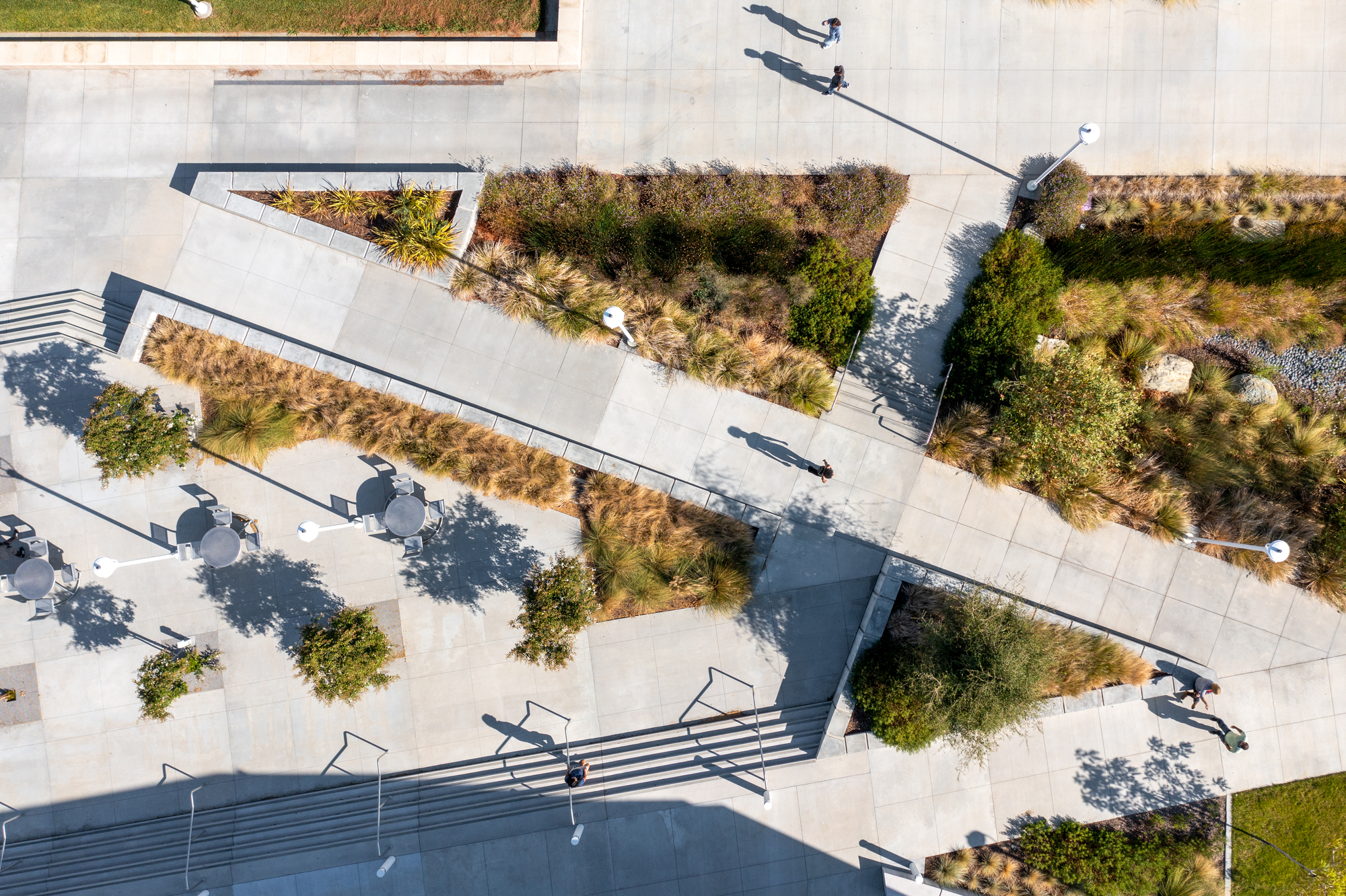 Los Medanos College Student Union & Kinesiology Complex / LPA-25