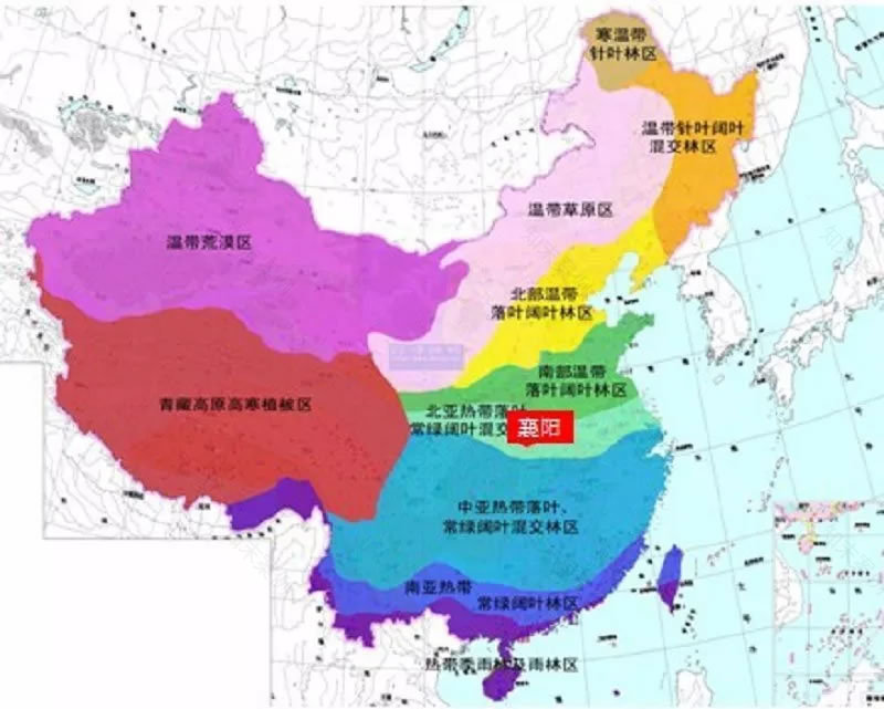 襄阳市东津新区浩然河景观带绿化设计-20