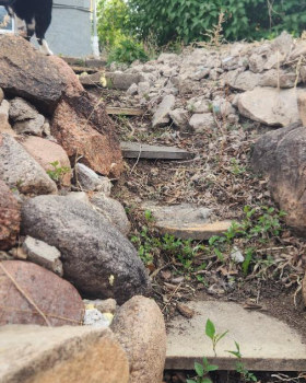 Orion Landscape Design