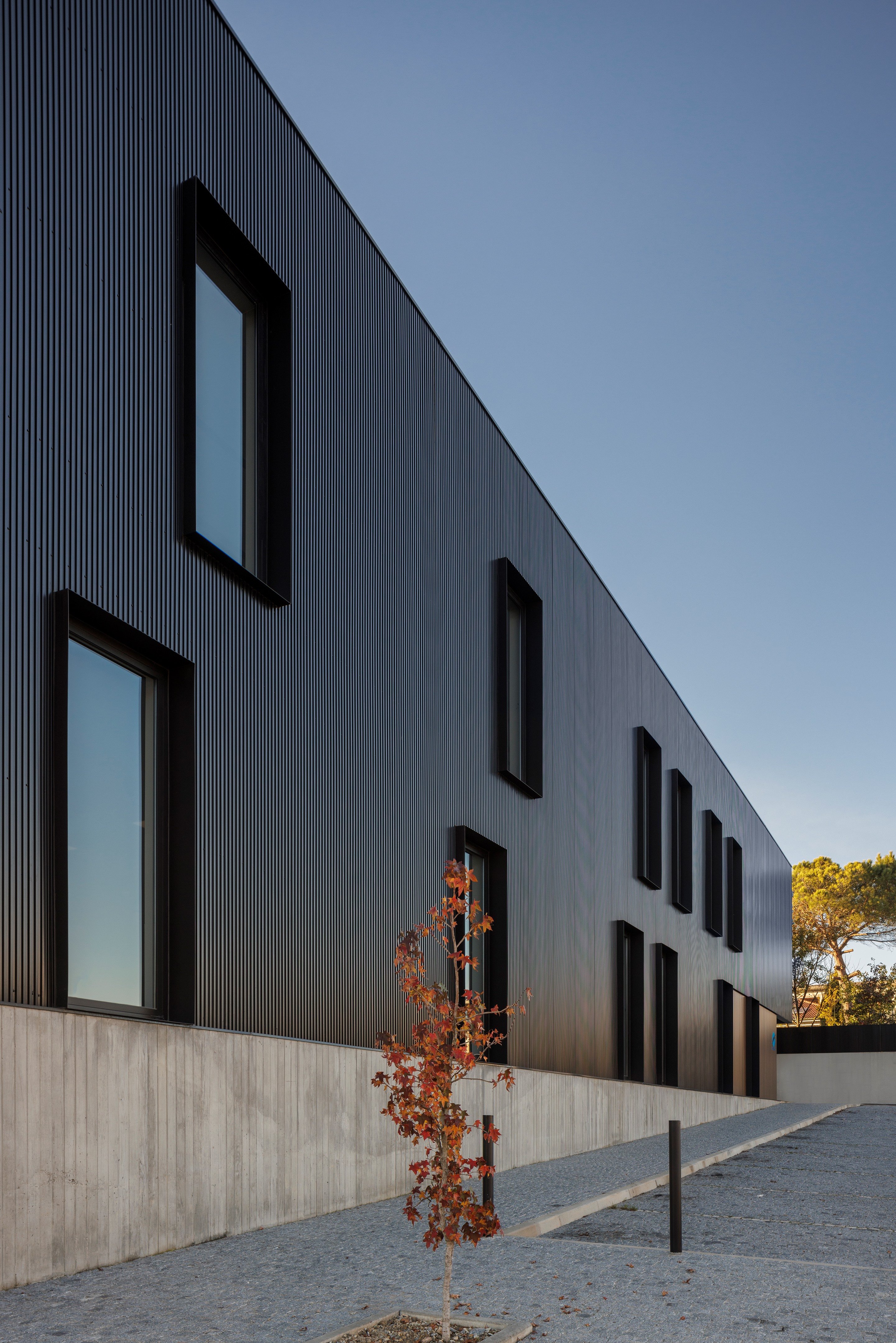 费西米尼奥物理治疗诊所丨葡萄牙丨L2C Arquitectura-42