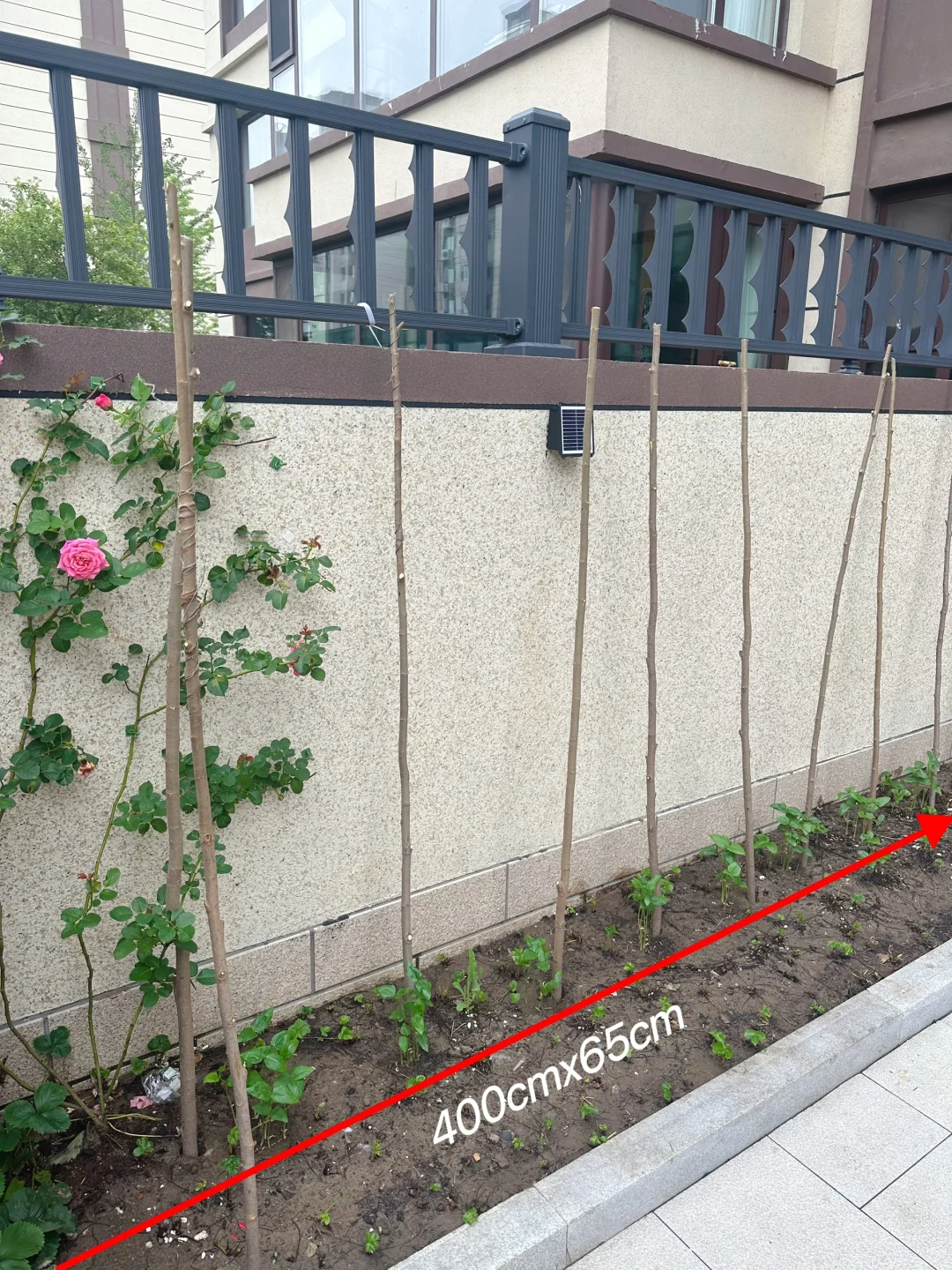 辽宁一女子的院子火了，拒绝过度布置，那叫一个高级，羡慕-14