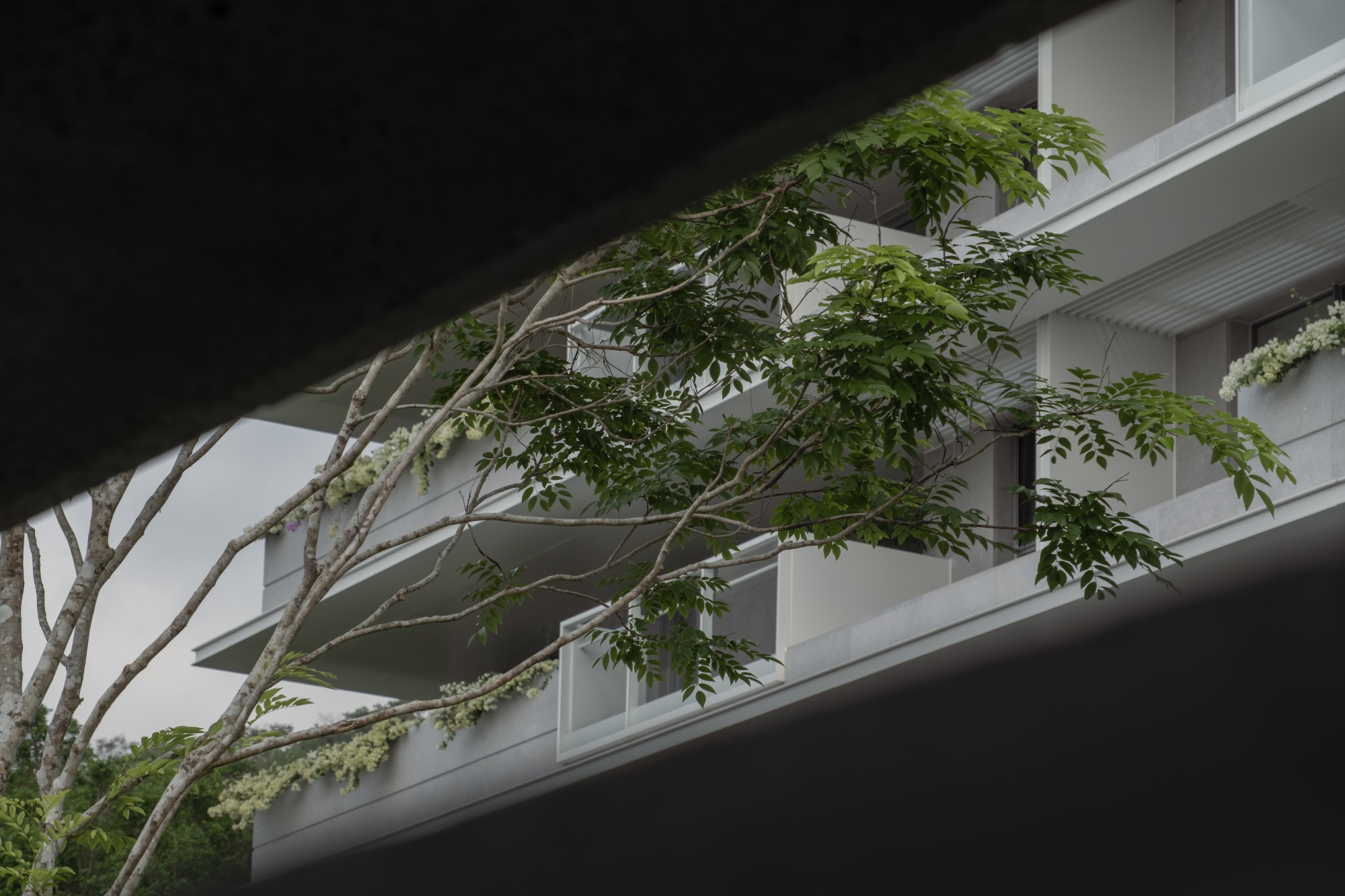 阿那亚三亚·山之境(东区)丨中国三亚丨WTD纬图设计-61