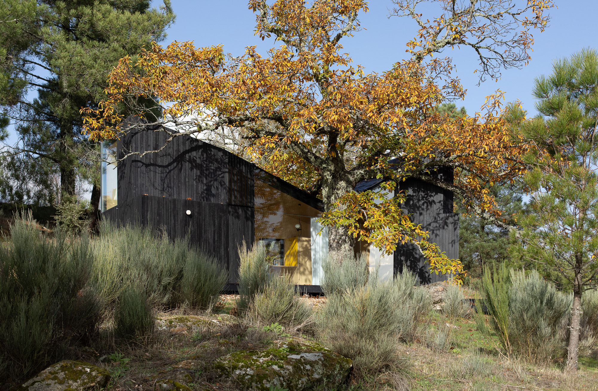 栗树屋丨葡萄牙丨João Mendes Ribeiro-23