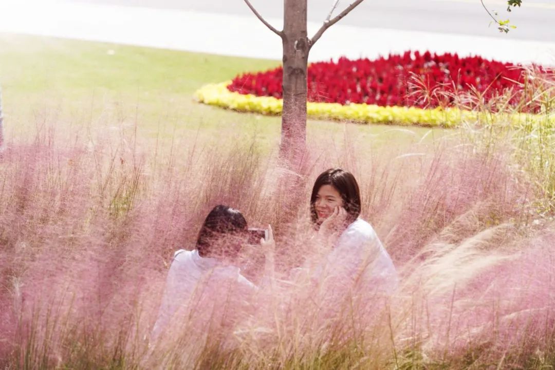 外滩秘境 | 城市花园的时空穿越-130