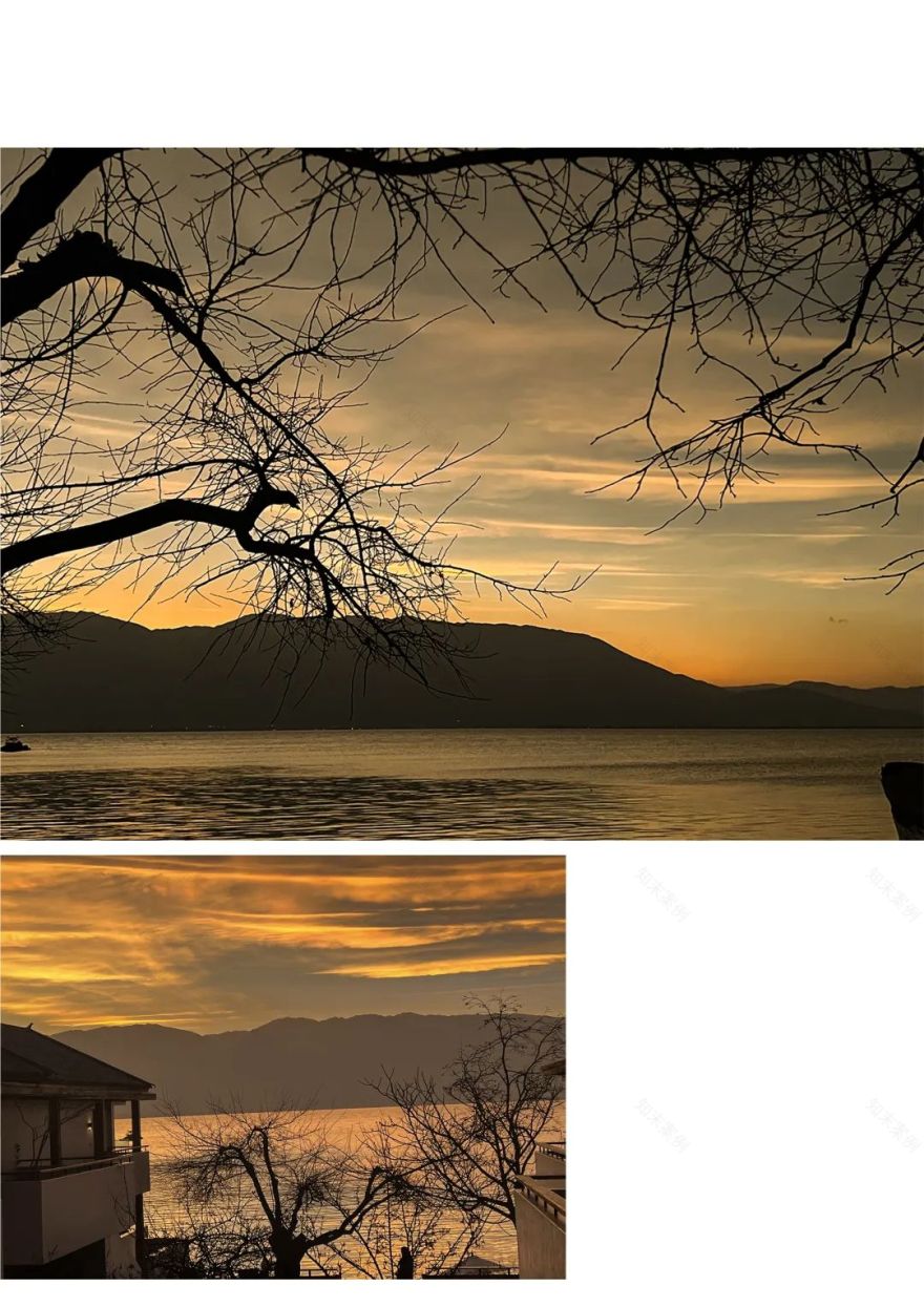 MS·MORE 的诗意人生丨中国重庆丨MS·MORE 创始人-76