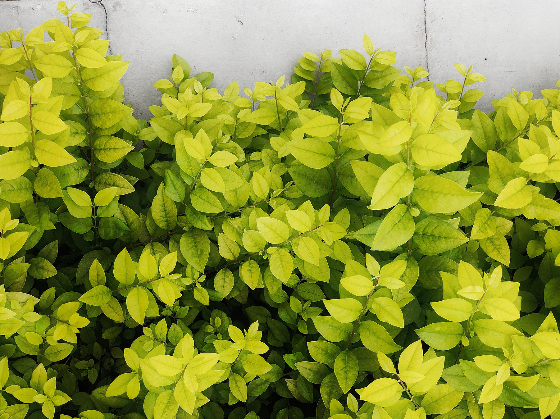 Meixi Lake International Culture Art Centre-8