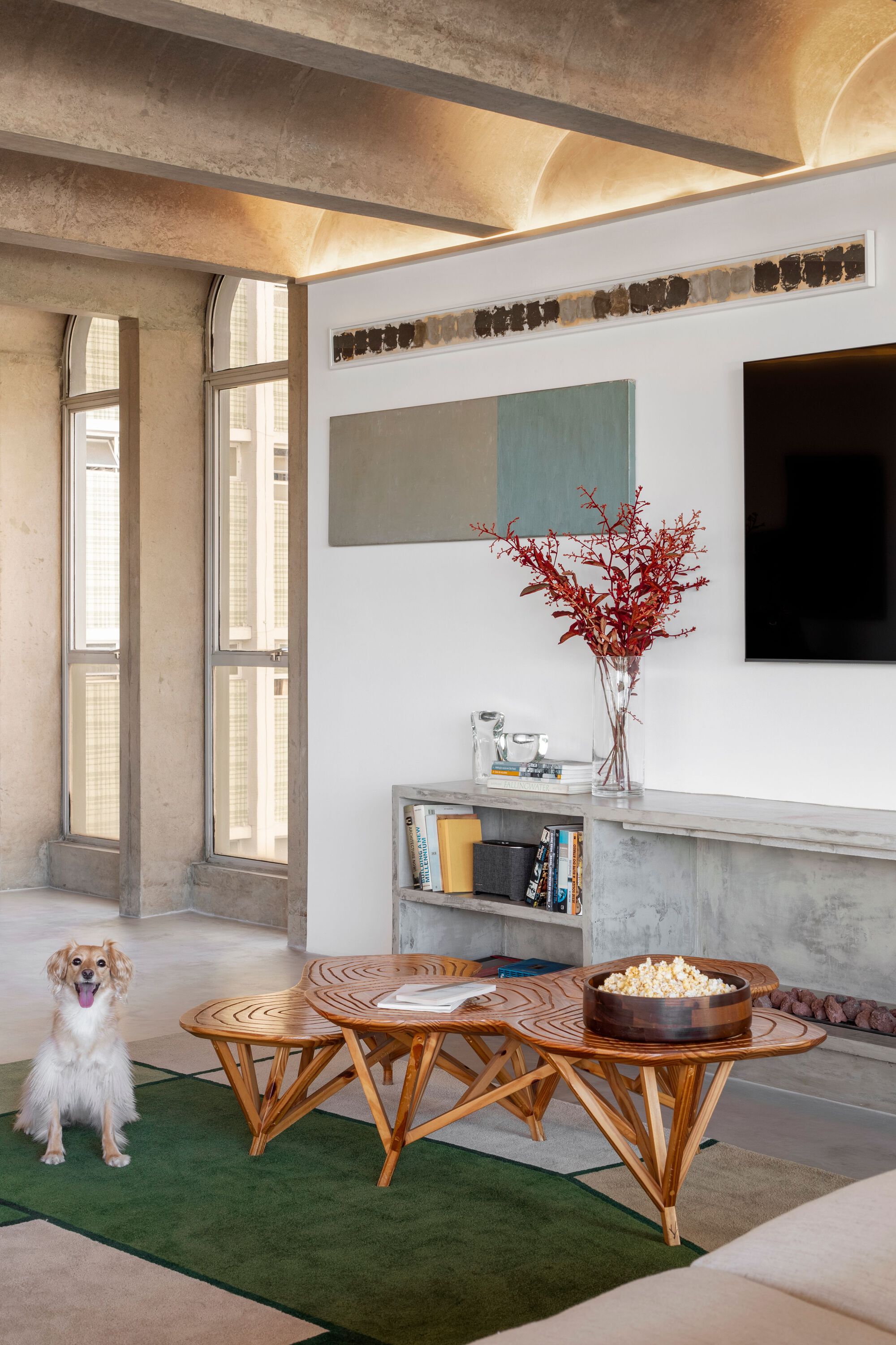 拱门公寓丨巴西圣保罗-18