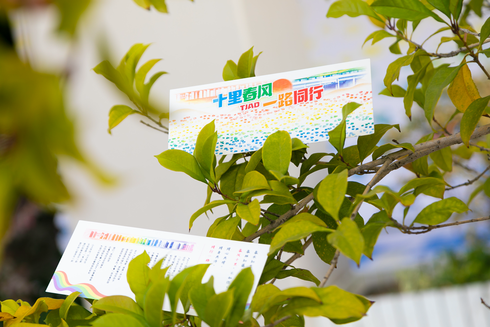 春意盎然,描绘 TJAD 青春画卷-9