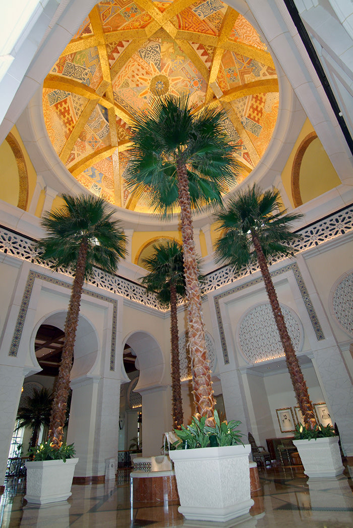 Plants that reflect your brand -2