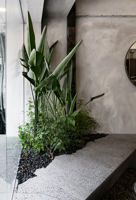 SEOUL COFFEE(MANGWON) Labotory-10