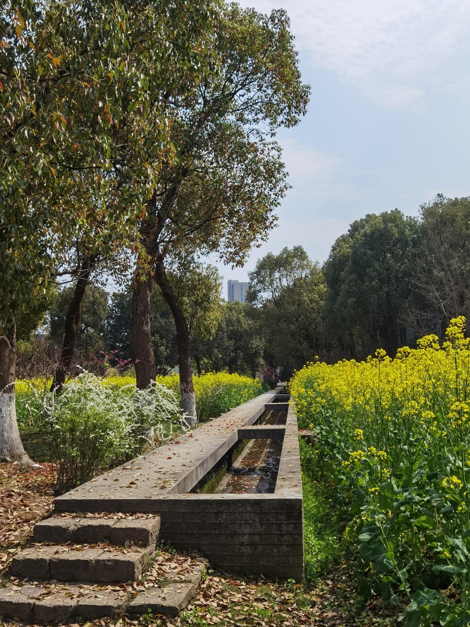 象山校区十处空间设计丨中国丨郦文曦建筑事务所-283