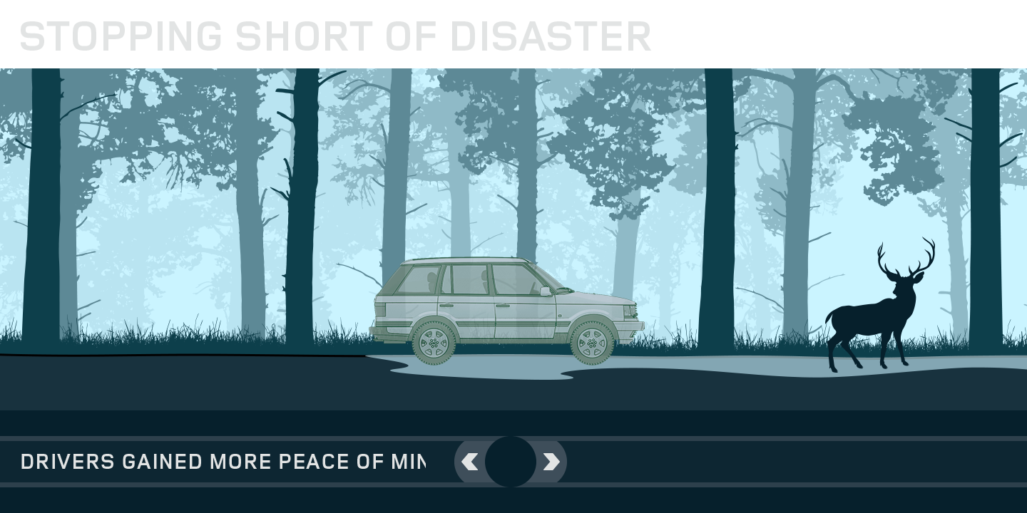 路虎 70 周年庆典丨美国新泽西-29
