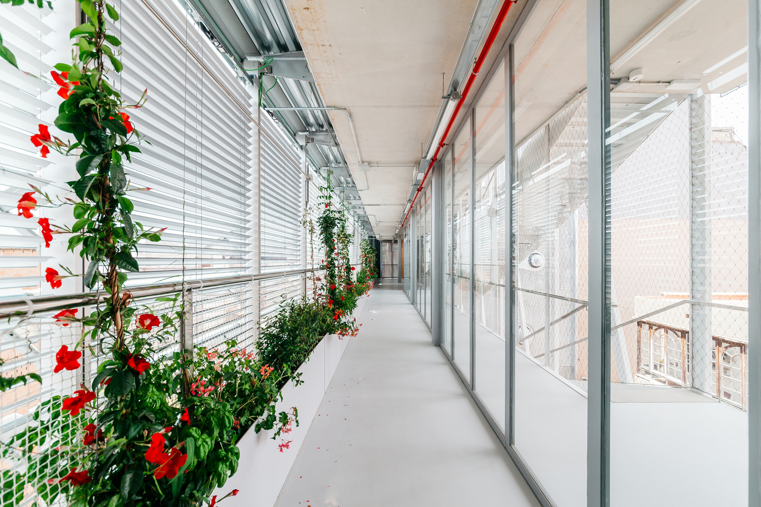 巴塞罗那“维拉乌拉尼亚”近零能耗绿色建筑-37