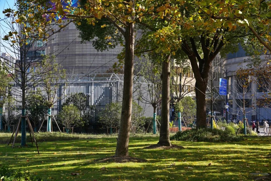 音律街角 · 上海地铁14号线大世界站外环境设计丨中国上海丨上海亦境建筑景观有限公司,上海交通大学设计学院风景园林研究所-35