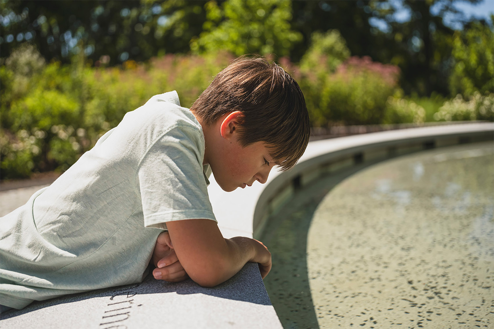 桑迪胡克“林间空地”纪念园丨美国康涅狄格丨SWA Group-17