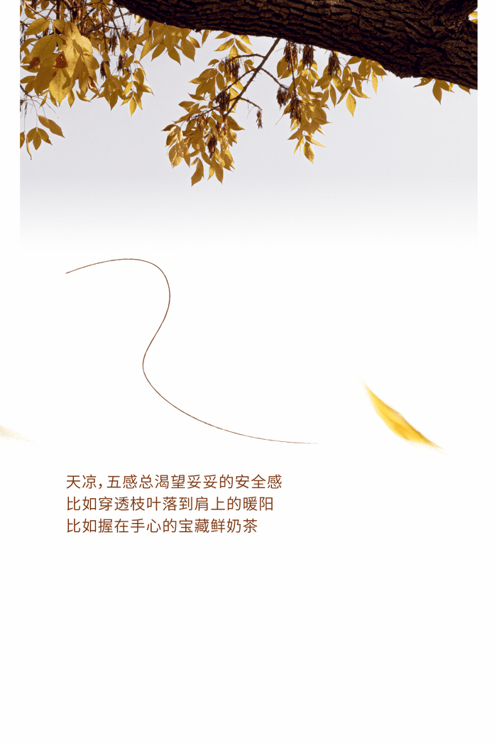 买热饮送包，专属秋天！-13