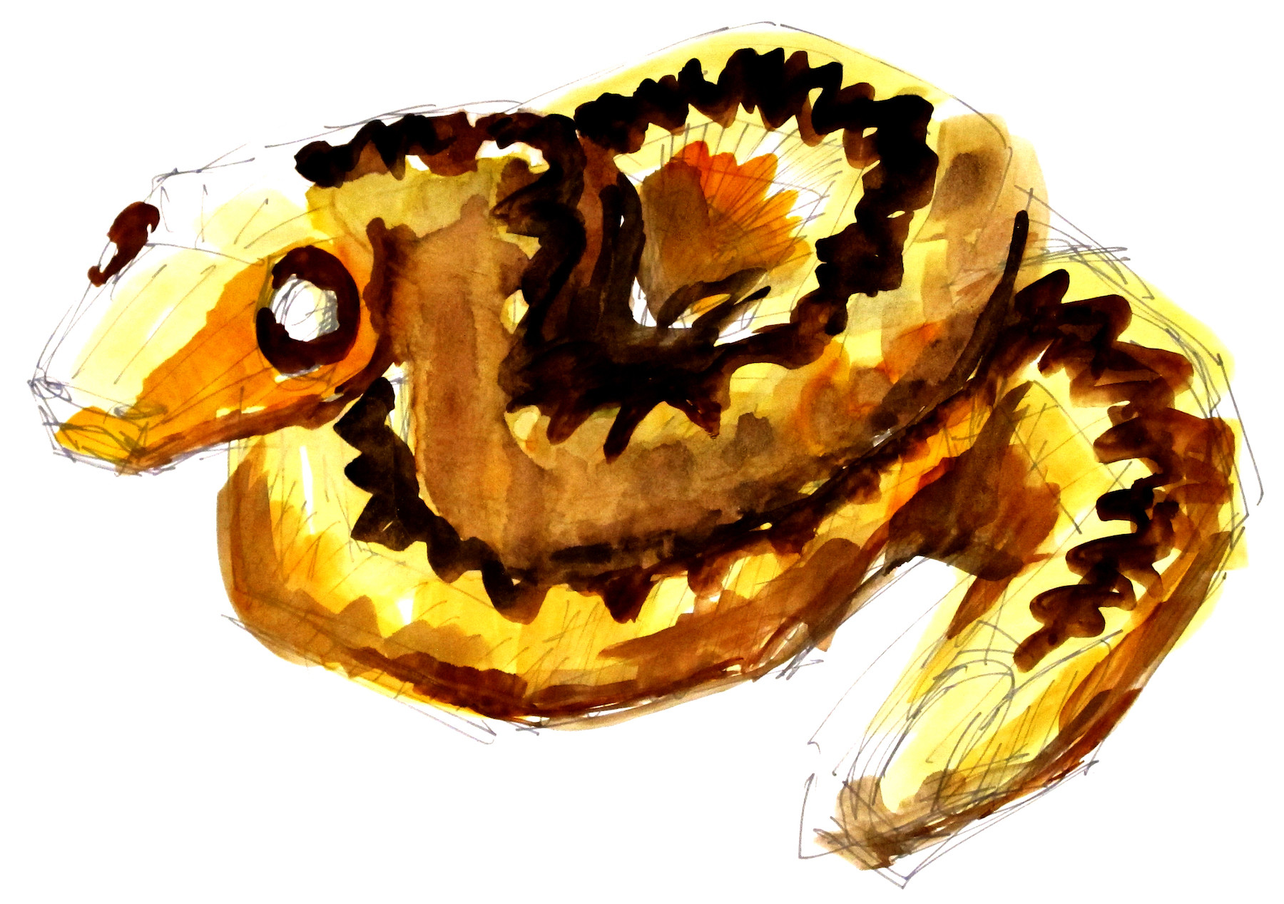 Herní krajina Pecka（佩卡游乐场地）-143