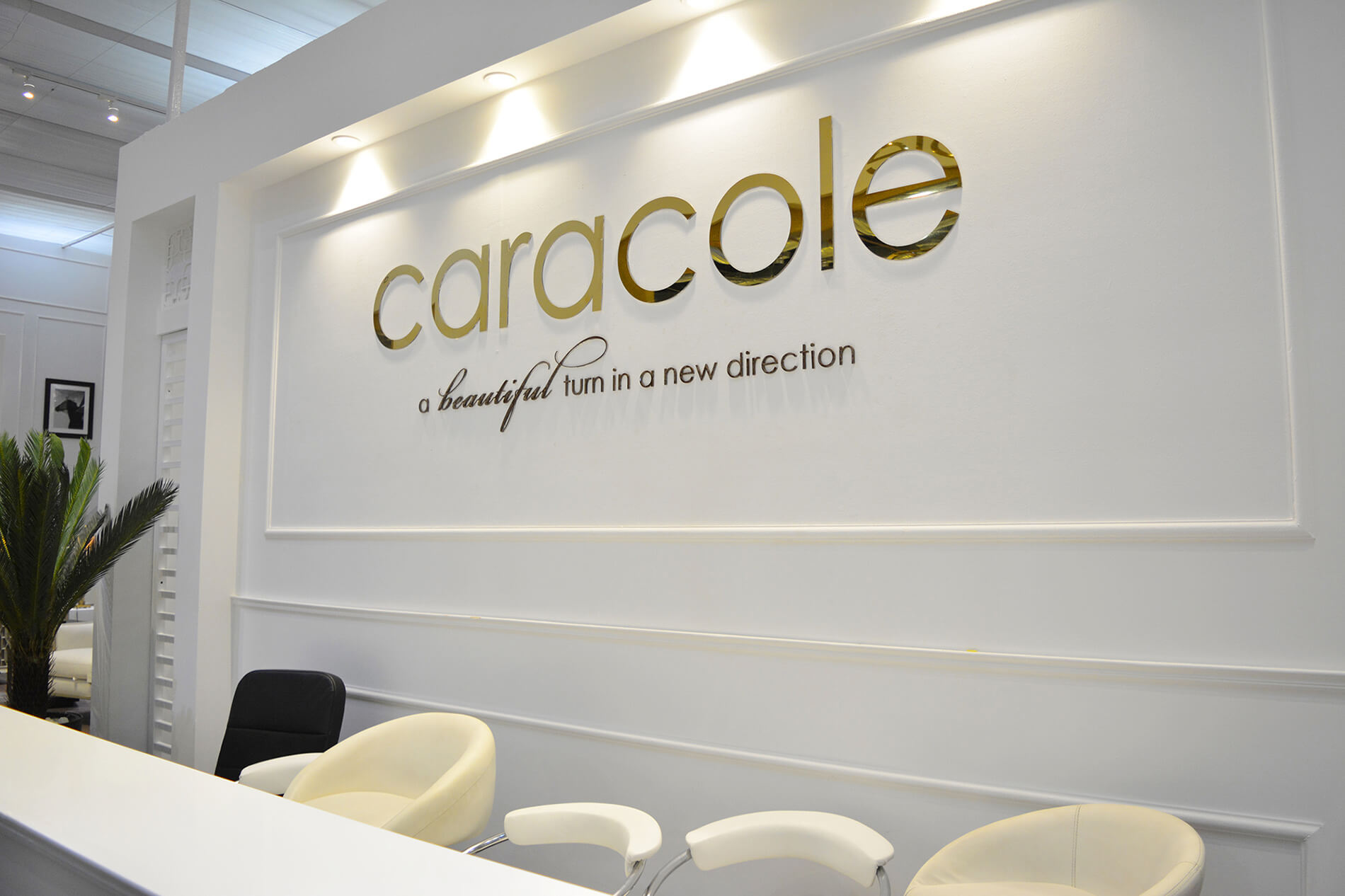 Caracole 室内设计项目-34