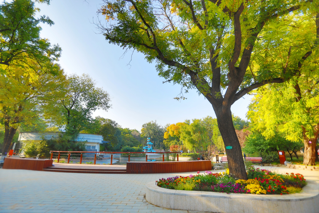 南馆公园及周边改造提升项目丨中国北京丨北林地景-49