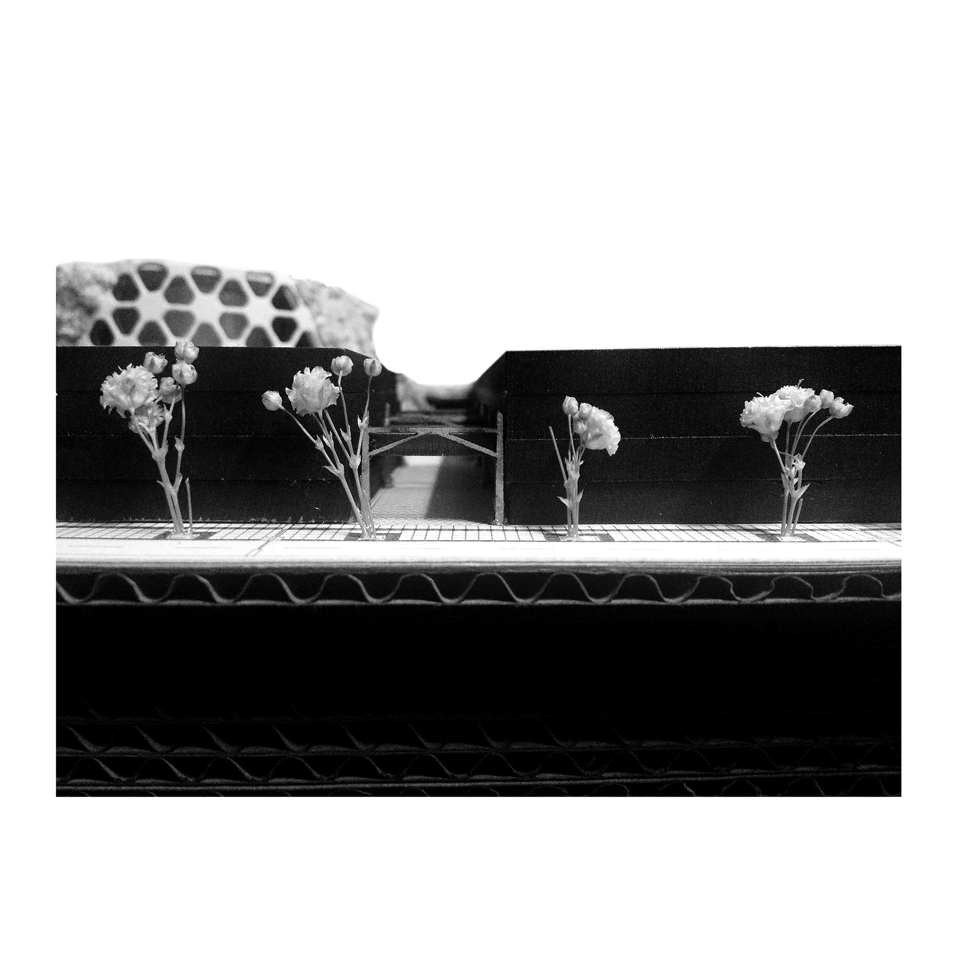 FIBAATA 文化中心丨哥伦比亚昆迪纳马卡-28