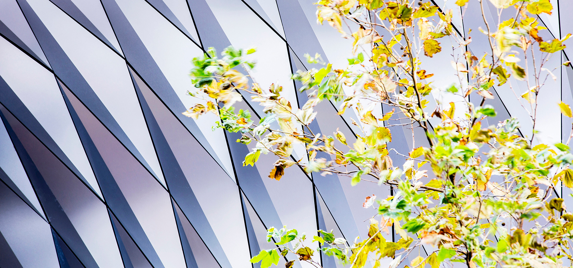 悉尼 580 乔治街前厅有机升级，模糊内外界限-6