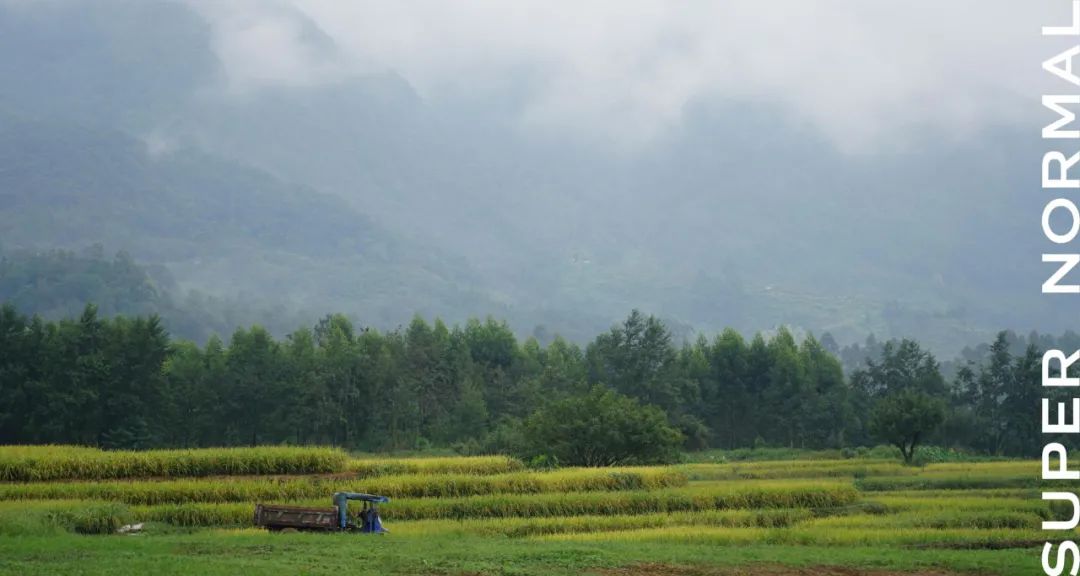 顺德水乡记忆 | 喜茶大融城店-121