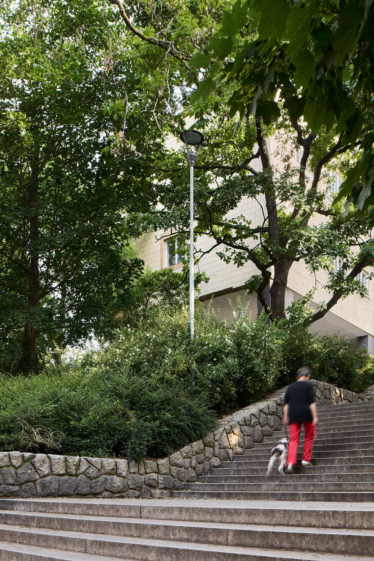 Třebíč天主教高中新建筑扩建丨捷克-60