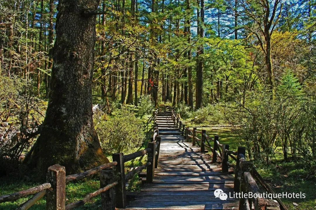 Club Med 丽江度假村丨中国白沙-8