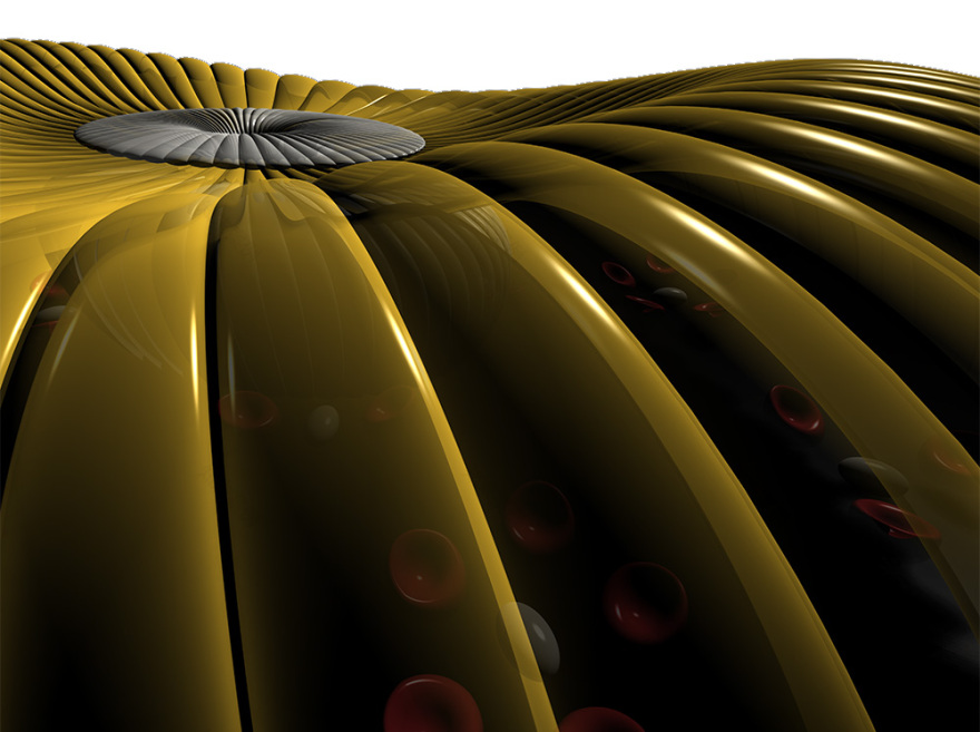 丨尼日尔塔瓦丨Petr Šandl-17