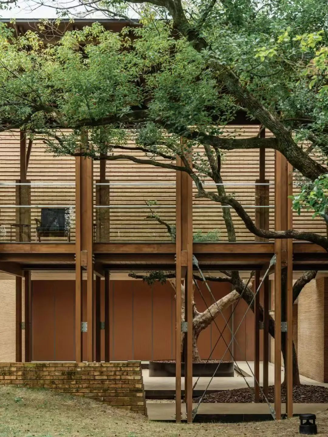 《平凡之树的再生》(聚焦“川上行”项目)丨意大利丨直向建筑-22