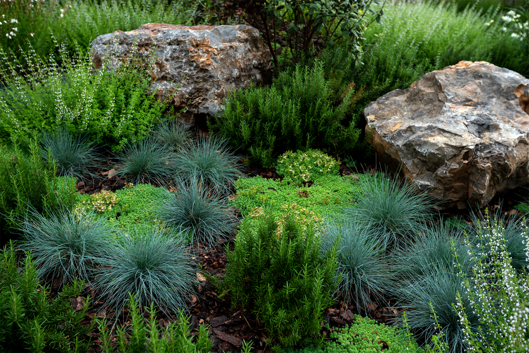 丽江·HYLLA 物与岚收藏酒店景观丨中国白沙丨z’scape 致舍景观-34