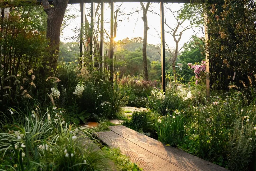 绮云书香|2024粤港澳大湾区花展宝安区城市花园-103