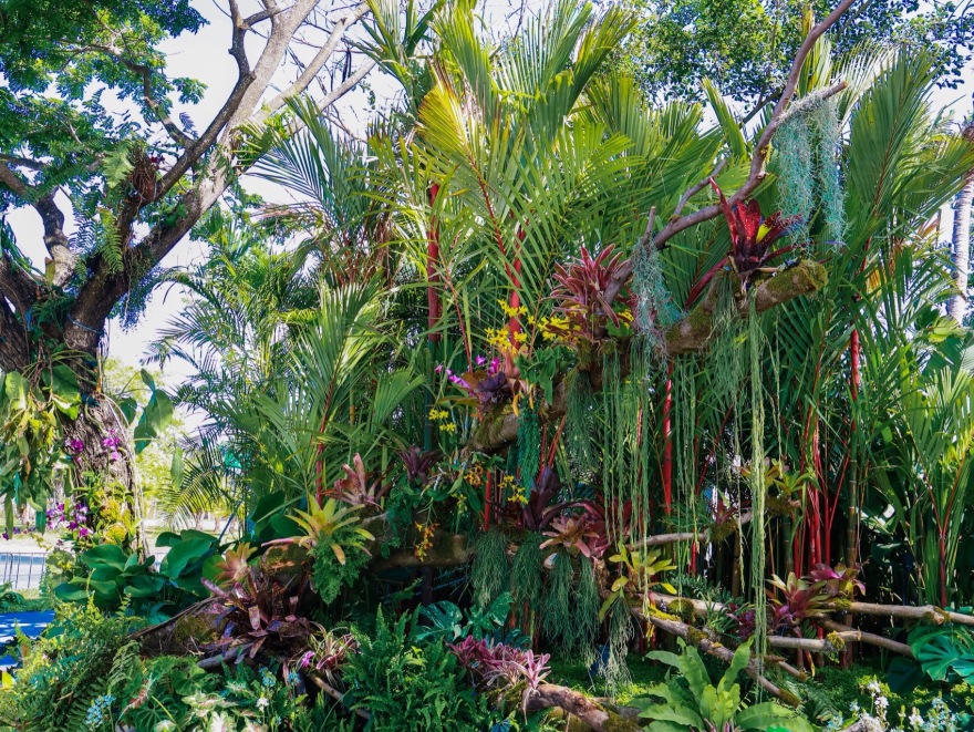 三亚海棠河生态公园阔叶浅溪段的花境生态营造丨中国三亚丨LOLA景观建筑设计事务所-67