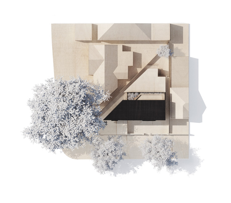 悉尼树顶之家-10