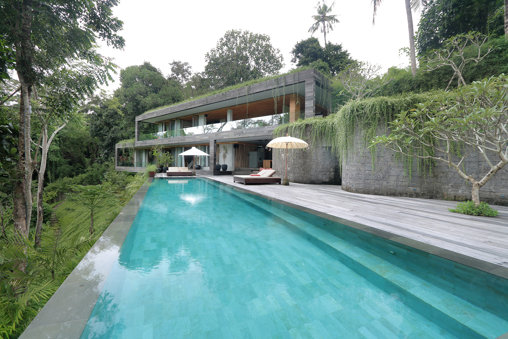 Chameleon别墅,巴厘岛 / Word of Mouth-78