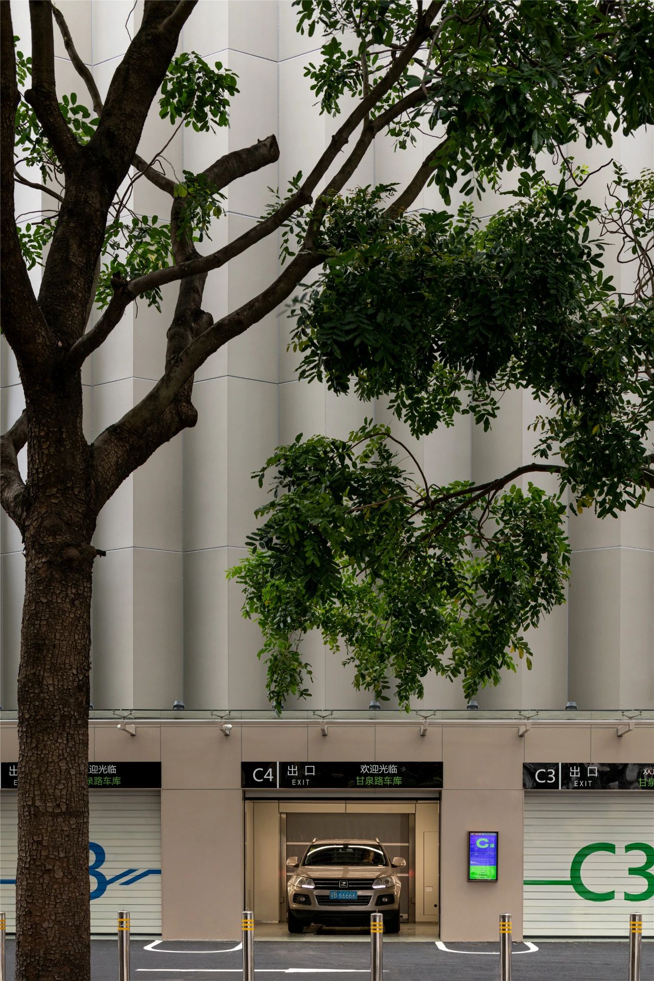 竹中诊所 - 温暖透明丨日本丨TSC Architects-215